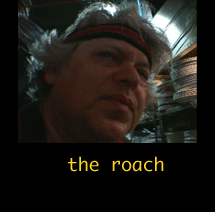the roach