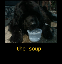 the soup